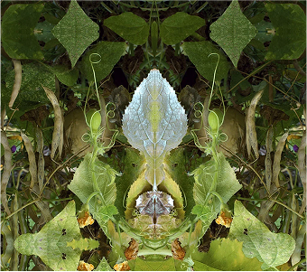 categoria-GEOMETRIAS