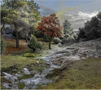 categoria-PAISAJES
