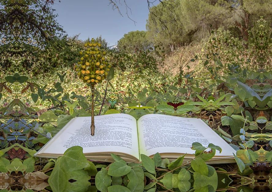 producto-simetrias-del-libro-y-la-primavera