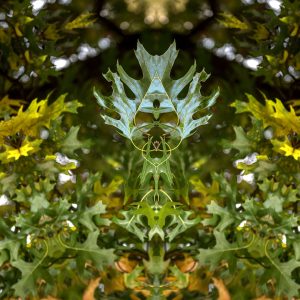 2000ff356a17eb16f9991b0b68dfc82e7362cfb7 (1)