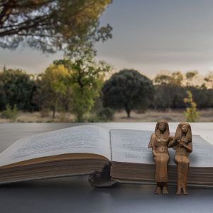 5c93c7553b75cff500303c1c60cde33d976d7076 (1)