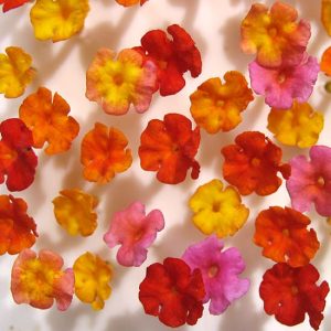 f1ea47cf29090a7ad4c133ce3de2881609313a06 (1)