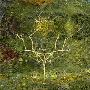 f65df9688594b8ccc4ab77fe3e419b0c7b945aa1 (1)