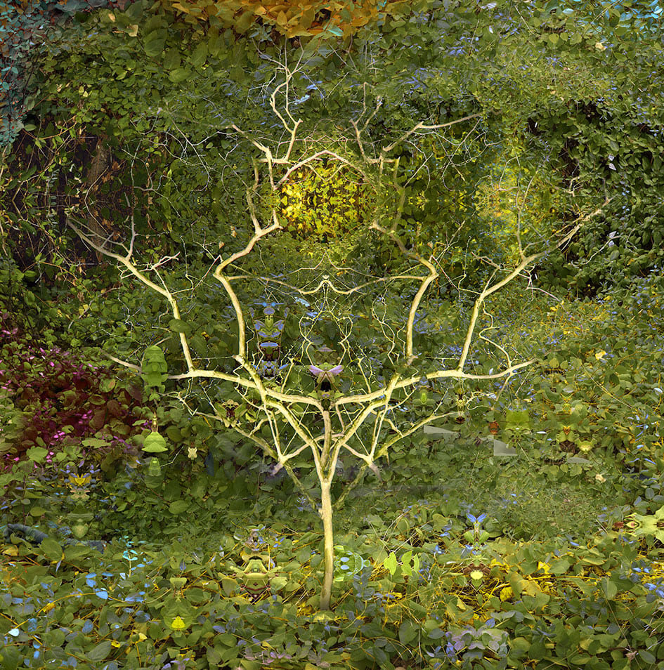 f65df9688594b8ccc4ab77fe3e419b0c7b945aa1 (1)