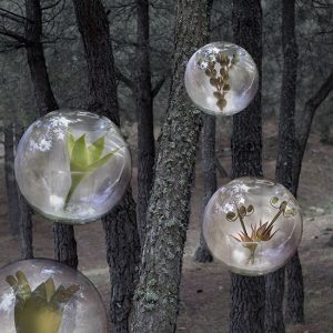 Esferas con plantas en el bosque